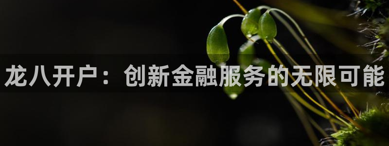 先锋娱乐登录界面入口：龙八开户：创新金融服务的无限可能