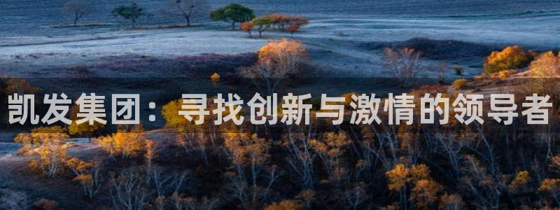 先锋娱乐平台主管：凯发集团：寻找创新与激情的领导者