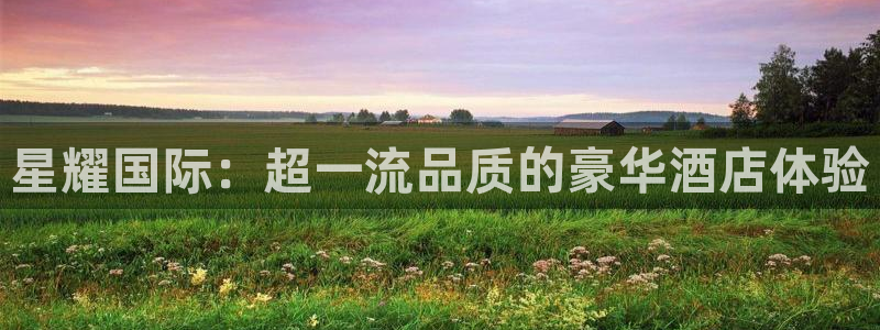 成都先锋娱乐电子有限公司：星耀国际：超一流品质的豪华酒店体验