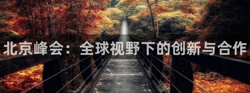 先锋娱乐平台注册入口：北京峰会：全球视野下的创新与合作