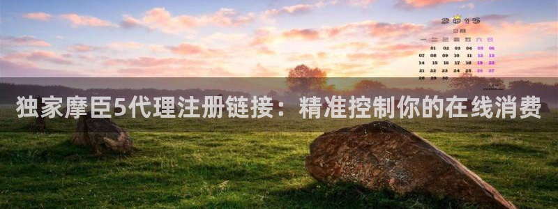 先锋娱乐官网：独家摩臣5代理注册链接：精准控制你的在线消费