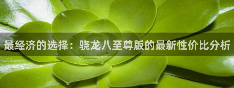 先锋娱乐2平台登录：最经济的选择：骁龙八至尊版的最新性价比分析