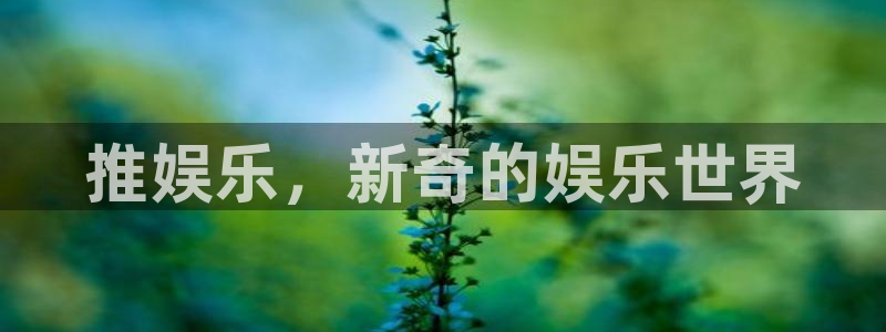 先锋娱乐体育网页版入口：推娱乐，新奇的娱乐世界