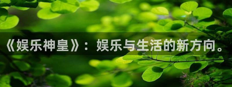 先锋娱乐平台：《娱乐神皇》：娱乐与生活的新方向。