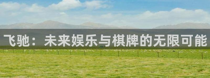 先锋娱乐体育和杏耀是哪个公司的：飞驰：未来娱乐与棋牌的无限可能