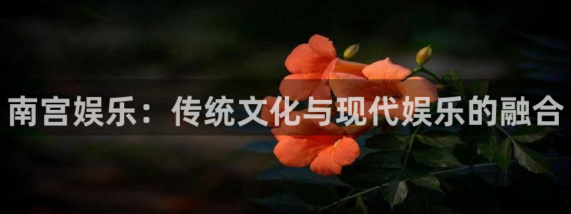 先锋娱乐登录界面入口：南宫娱乐：传统文化与现代娱乐的融合