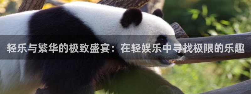先锋娱乐体育论坛：轻乐与繁华的极致盛宴：在轻娱乐中寻找极限的乐趣