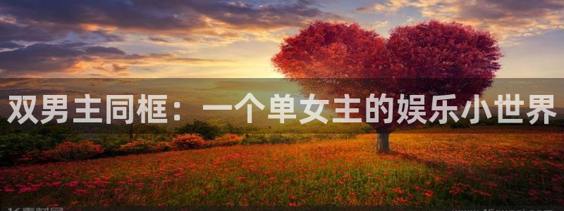 先锋娱乐体育凯捷代理注册：双男主同框：一个单女主的娱乐小世界