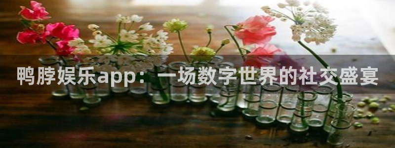 先锋娱乐平台在线开户：鸭脖娱乐app：一场数字世界的社交盛宴