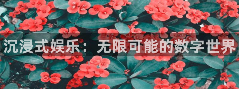 先锋娱乐平台总代理：沉浸式娱乐：无限可能的数字世界