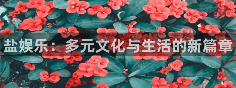 先锋娱乐体育平台开号链接：盐娱乐：多元文化与生活的新篇章