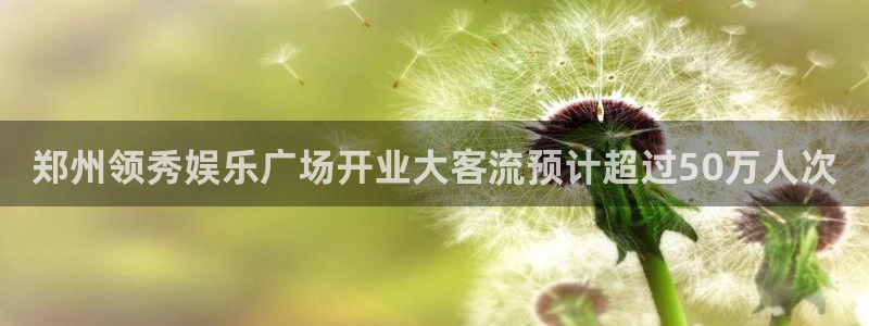 先锋娱乐集团官网：郑州领秀娱乐广场开业大客流预计超过50万人次
