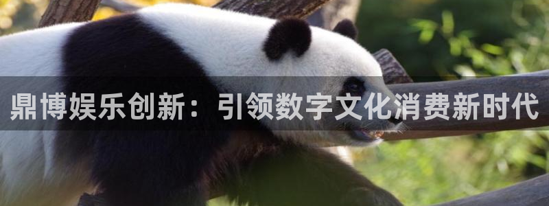 先锋娱乐2登录入口：鼎博娱乐创新：引领数字文化消费新时代