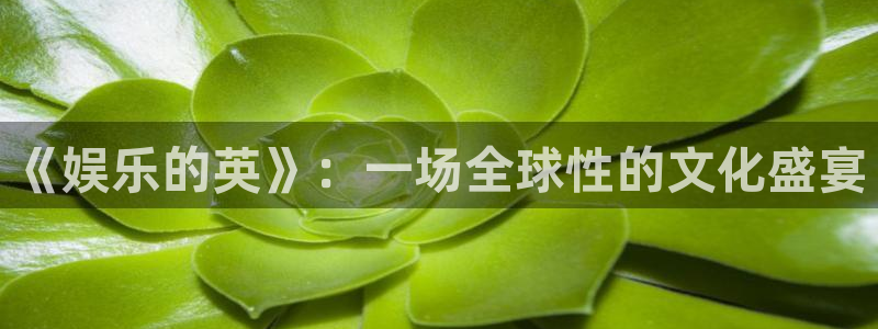 先锋娱乐体育官网登录：《娱乐的英》：一场全球性的文化盛宴