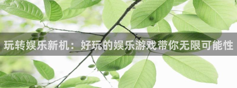 先锋娱乐2登录地址：玩转娱乐新机：好玩的娱乐游戏带你无限可能性