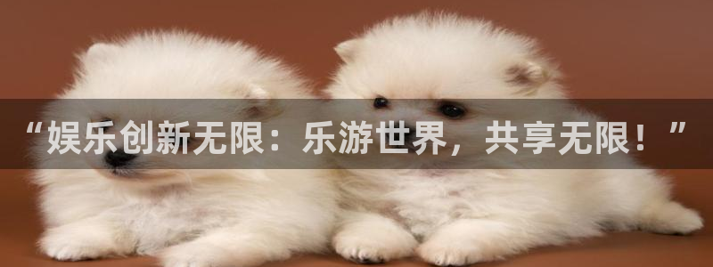先锋娱乐2登录入口：“娱乐创新无限：乐游世界，共享无限！”