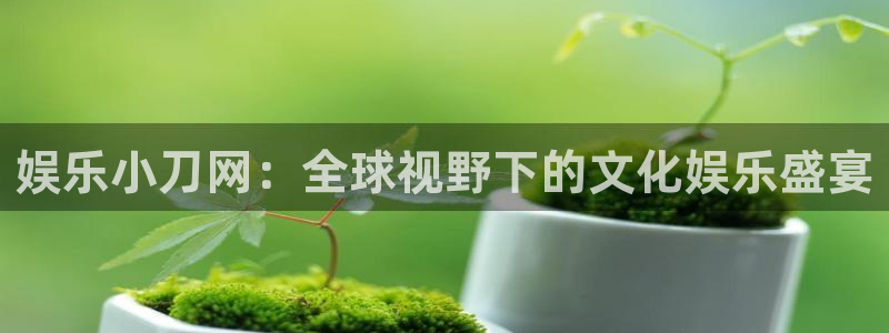 先锋娱乐2平台：娱乐小刀网：全球视野下的文化娱乐盛宴