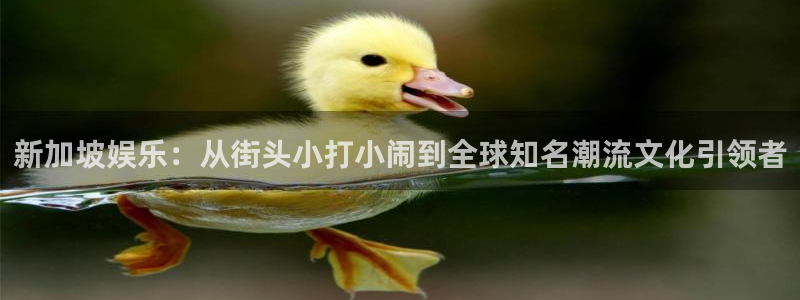 先锋娱乐3登录：新加坡娱乐：从街头小打小闹到全球知名潮流文化引领者