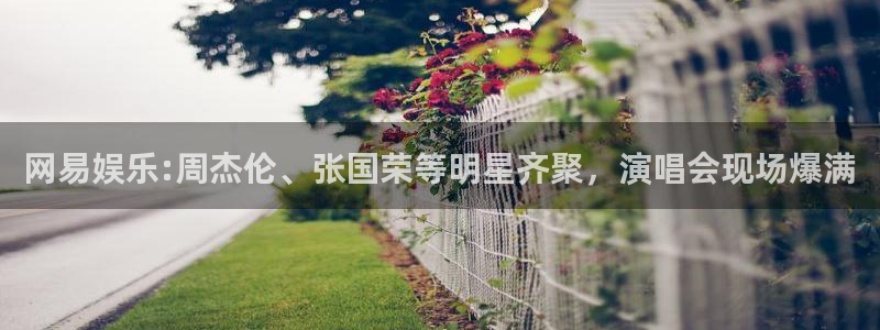 先锋娱乐平台注册入口：网易娱乐:周杰伦、张国荣等明星齐聚，演唱会现场爆满
