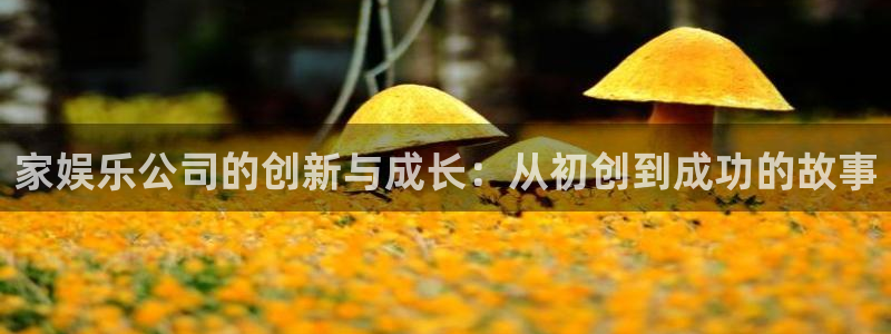 先锋娱乐体育注册：家娱乐公司的创新与成长：从初创到成功的故事