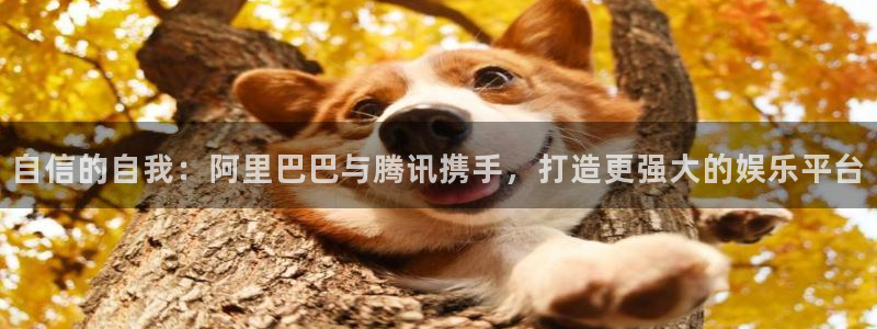 先锋娱乐体育注册登录入口：自信的自我：阿里巴巴与腾讯携手，打造更强大的娱乐平台