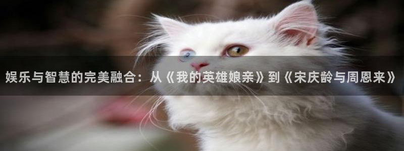先锋娱乐体育平台登录入口：娱乐与智慧的完美融合：从《我的英雄娘亲》到《宋庆龄与周