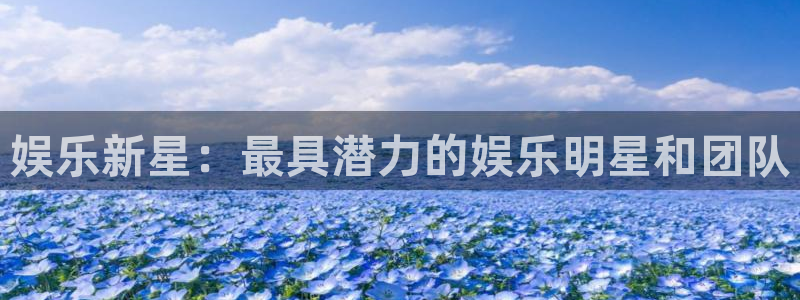 先锋娱乐体育代理申请流程：娱乐新星：最具潜力的娱乐明星和团队