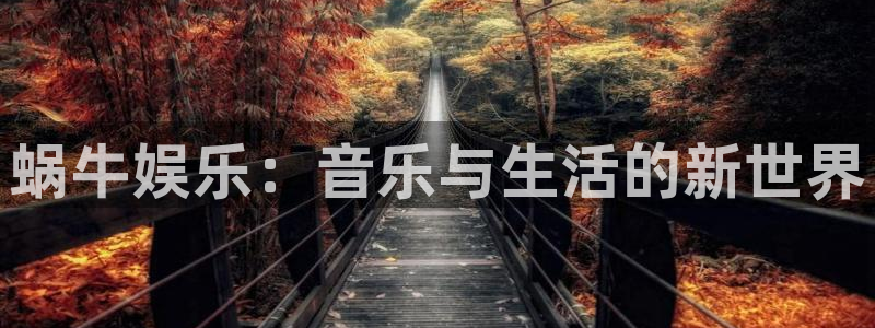 先锋娱乐体育平台注册：蜗牛娱乐：音乐与生活的新世界