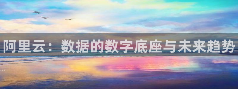先锋娱乐平台主管：阿里云：数据的数字底座与未来趋势