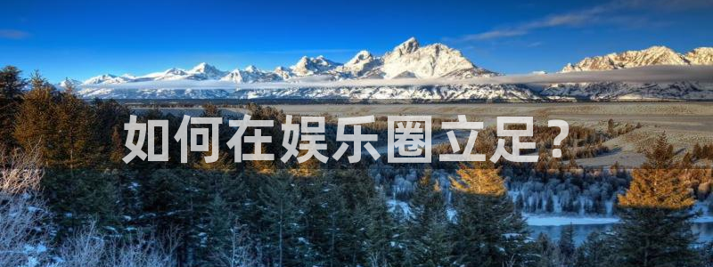 先锋娱乐3：如何在娱乐圈立足？