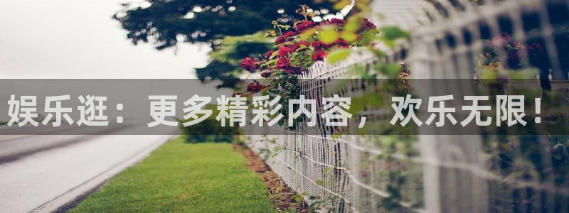 先锋娱乐2体育：娱乐逛：更多精彩内容，欢乐无限！