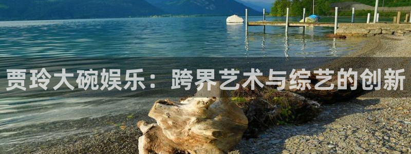 先锋娱乐2注册：贾玲大碗娱乐：跨界艺术与综艺的创新
